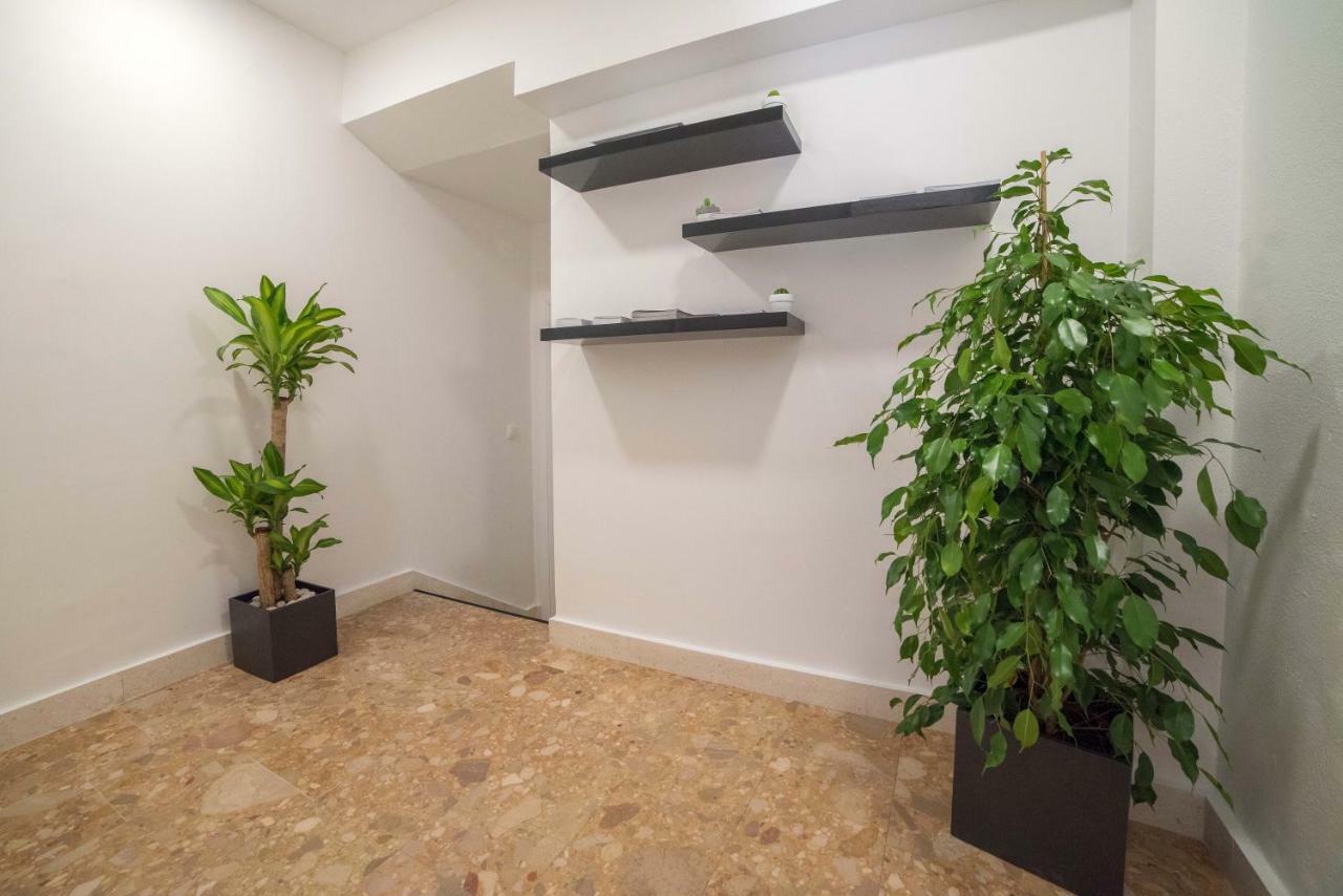 Luxury Petrovac Apartment *